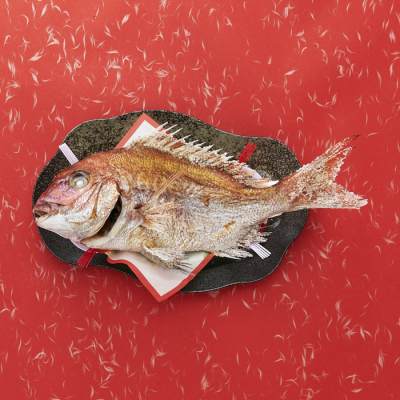 中村左洲　潮おどる鯛 中村左洲 潮おどる鯛 中村左洲 潮おどる鯛 中村左洲 潮