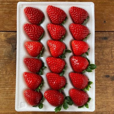 ＜ギフトボックス＞完熟 苺品種中粒食べ比べ