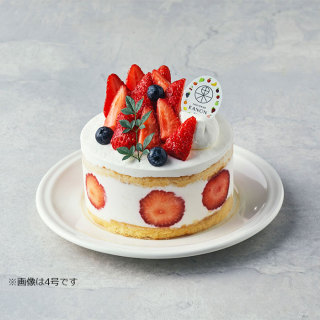 ベリーデコ5号【ケーキダイアリー】