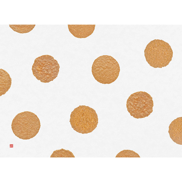 炙り焼き詰合せ(45袋入)(AA-E)(sf251522)｜阪神オンラインショッピング