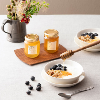 国産はちみつギフト(デュオ)