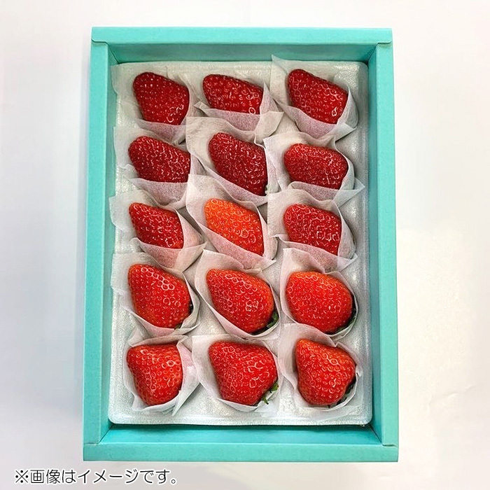 ギフトボックス＞完熟 苺品種大粒食べ比べ(sf260777)｜阪神オンライン