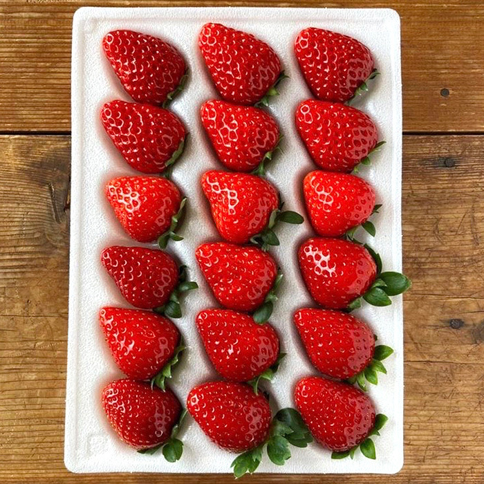 ギフトボックス＞完熟 苺品種中粒食べ比べ(sf260778)｜阪神オンライン