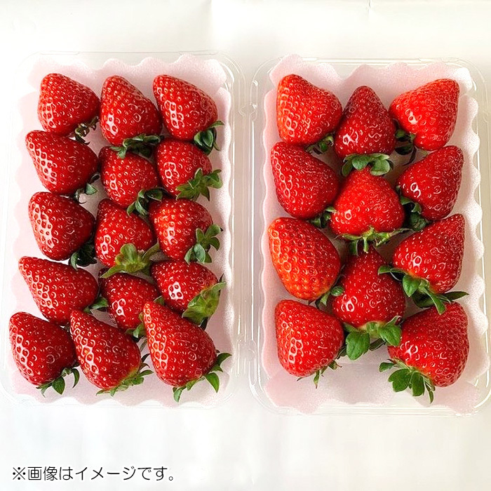 happy strawberry 完熟 品種ミックス 粒サイズいろいろ(sf260779
