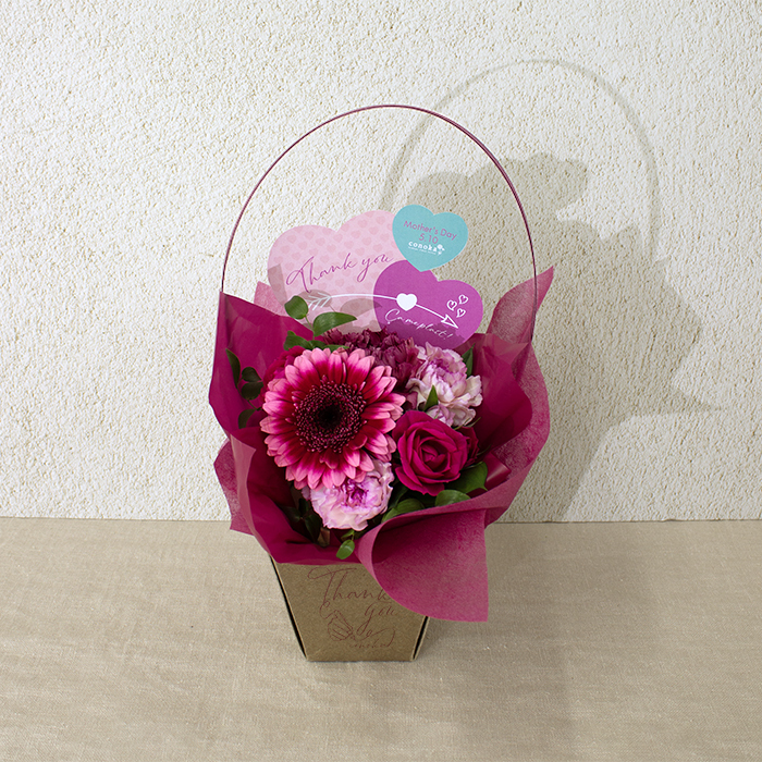 フラワーアレンジメントRed-Adoration-（AC-2）【母の日】(sf261053