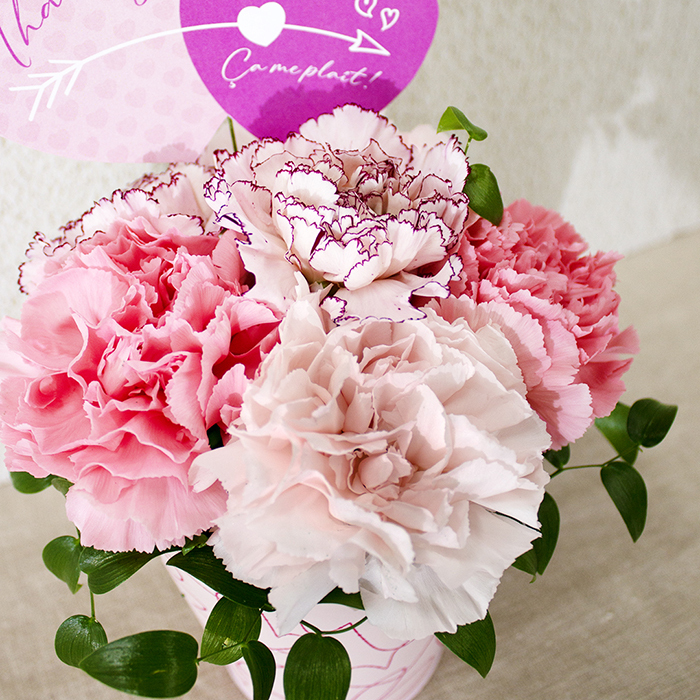 ハート フラワーアレンジメント Pink（AC-10）【母の日】(sf261061