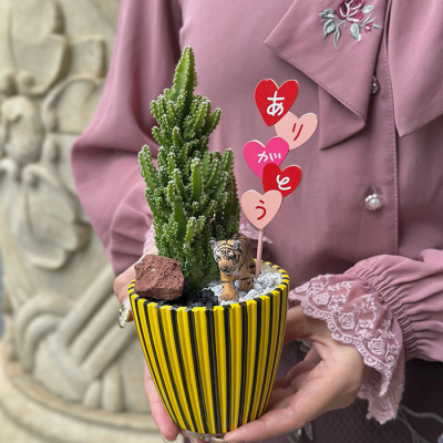 観葉鉢　ありがタイガー【母の日】