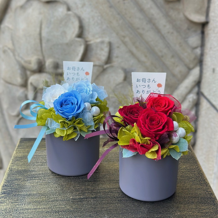 プリザーブドフラワー モカ レッド【母の日】(sg260032)｜阪神