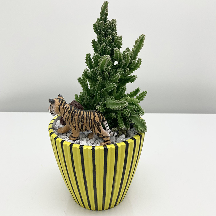 ミニサボテン「タイガー」(sg260069)｜阪神オンラインショッピング