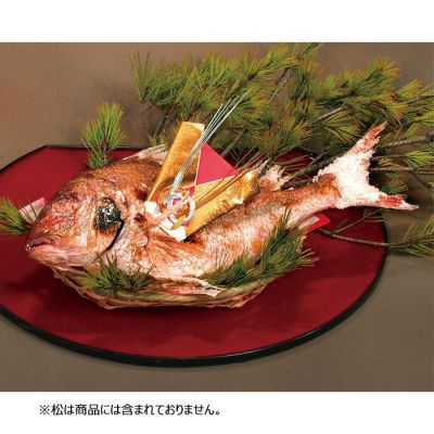 祝鯛