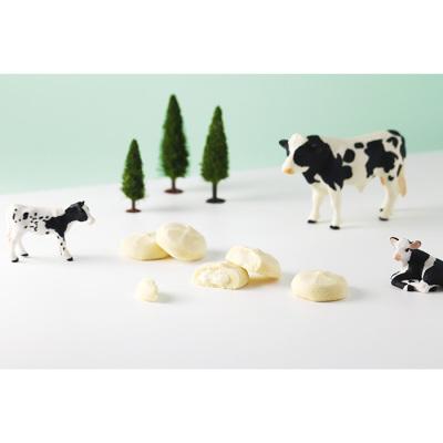 焼きチョコクッキー 6P