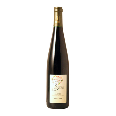 【大ワイン祭】［ブース：31］〔617〕ドメーヌ・サン・セヴラン ピノ・ノワール  2021