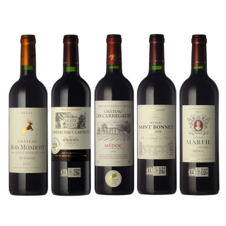 8-D 飲み頃ボルドー・メドック赤ワイン5本セット≪クール便≫