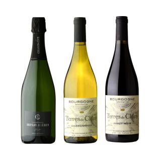 ［P-10］コスパ最強！シャンパーニュ＆ブルゴーニュコレクション【大ワイン祭・ちょっと贅沢なワインセット】