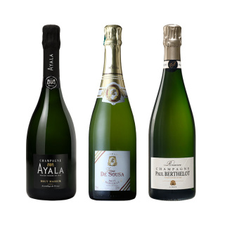 ［P-17］ドライシャンパーニュ3本セット【大ワイン祭・ちょっと贅沢なワインセット】