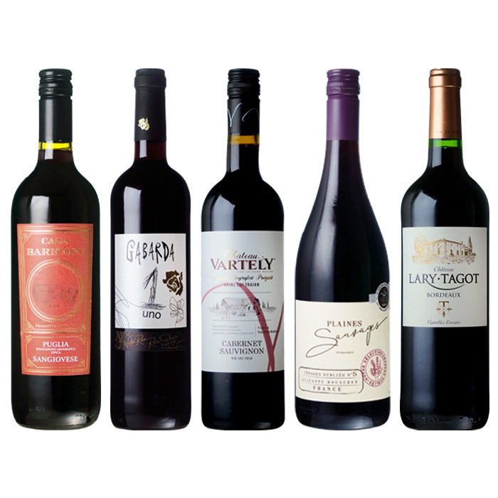 3-D 世界のこだわり生産者が造る旨安赤ワイン5本セット(sw260054