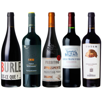 3-G 赤ワイン熟成プレミアム・ヴィンテージ5本セット(sw260057)｜阪神