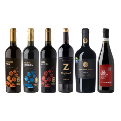 ［P-20］旨味たっぷり南イタリア土着品種6本セット【大ワイン祭・ちょっと贅沢なワインセット】