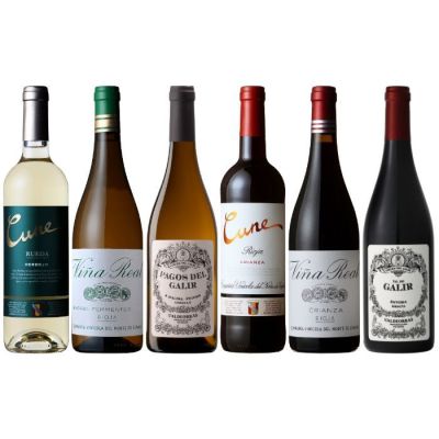 ［P-09］コスパ抜群!スペイン安旨 飲み比べ赤白6本セット【大ワイン祭・ちょっと贅沢なワインセット】