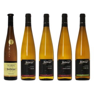 ［P-14］グランクリュ(特級畑)のアルザス・リースリングを入れたアルザス品種飲み比べ5本セット【大ワイン祭・ちょっと贅沢なワインセット】