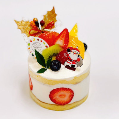 6種の果実のクリスマスデコ3号