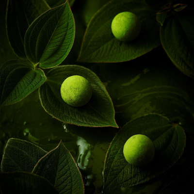 お濃茶トリュフチョコレート＜2月6日から2月14日お届け＞