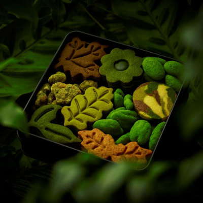 ボタニカルクッキー缶＜2月6日から2月14日お届け＞