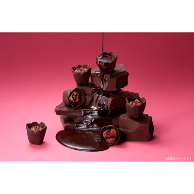 チューリップローズ ショコラ・フルコース 9個入＜2月6日から2月14日お届け＞
