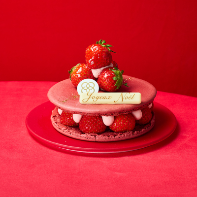 マカロン ケーク ド ノエル＜12月21日受け取り＞