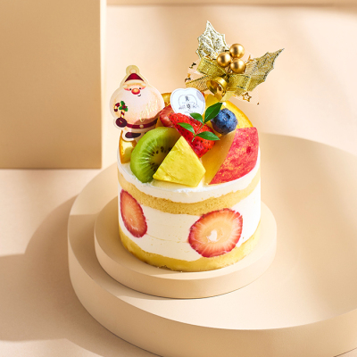 7種の果実のクリスマスデコ3号<12月25日午後5時から午後7時受け取り>