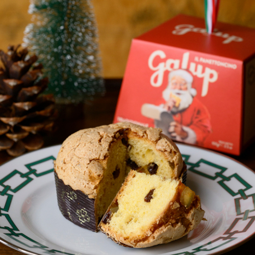 ガルップ パネトンチーノ トラディショナル FD1