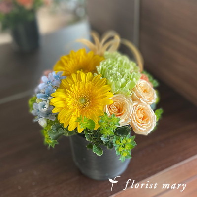 ポンポン：ルミエール