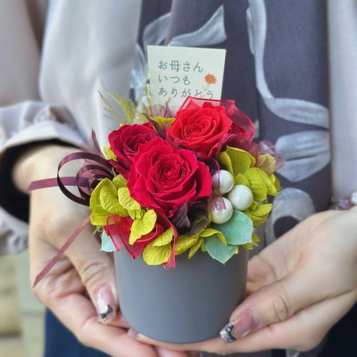 プリザーブドフラワー モカ レッド