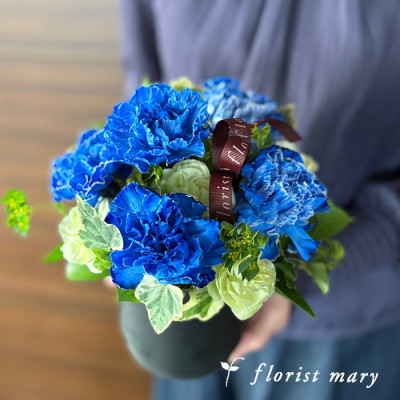 ポンポン：ブルー