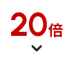 ネットポイント 20倍