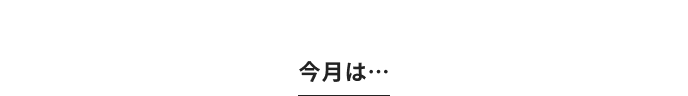 今月は・・・