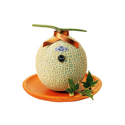 オレンジのトレイののったキムラフルーツの「静岡県 クラウンマスクメロン 1玉」