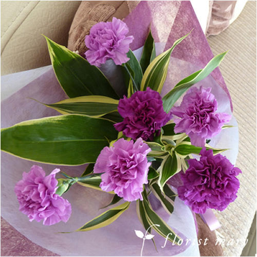 紫色のカーネーションの花束。