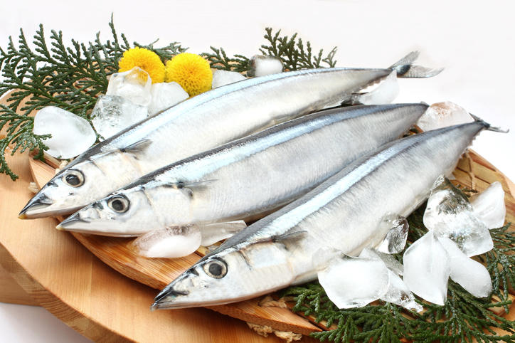 3匹の秋刀魚