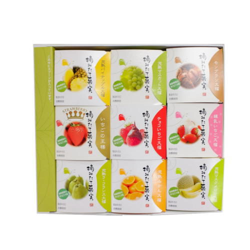 「一心堂」摘みたて菓実9個入り詰合せ