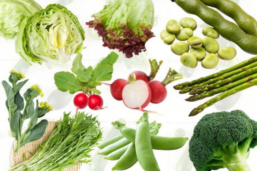 【阪急うめだ本店】グリーンベジタブル～食と季節を楽しむ暮らし～