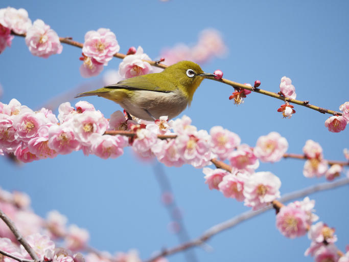 iStock-1304655165.jpg