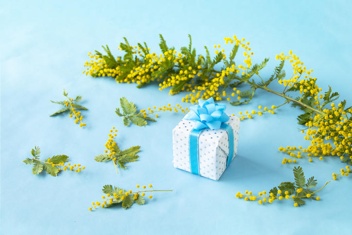 水色のリボンがかかったプレゼントとミモザの花
