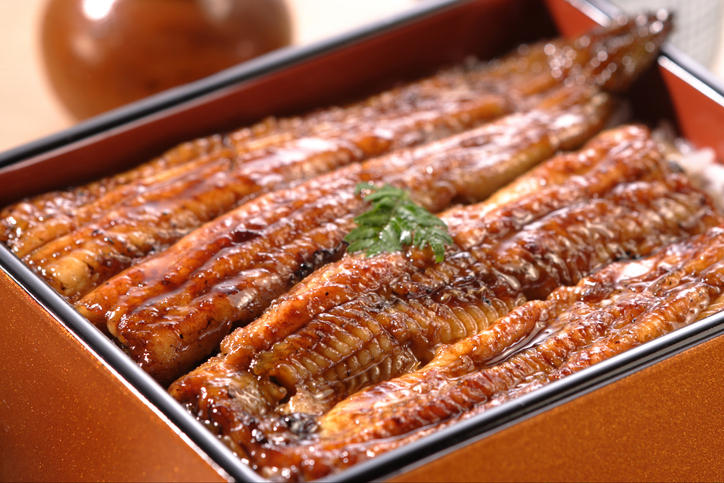 鰻の蒲焼がお重に盛り付けられている