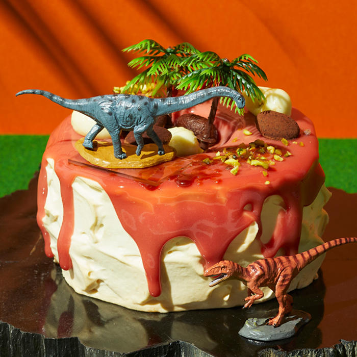 XF26H_恐竜ケーキF_修正_F_cmd7×7.jpg