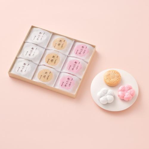 ベージュの箱に入ったとらやの「最中 9個入」