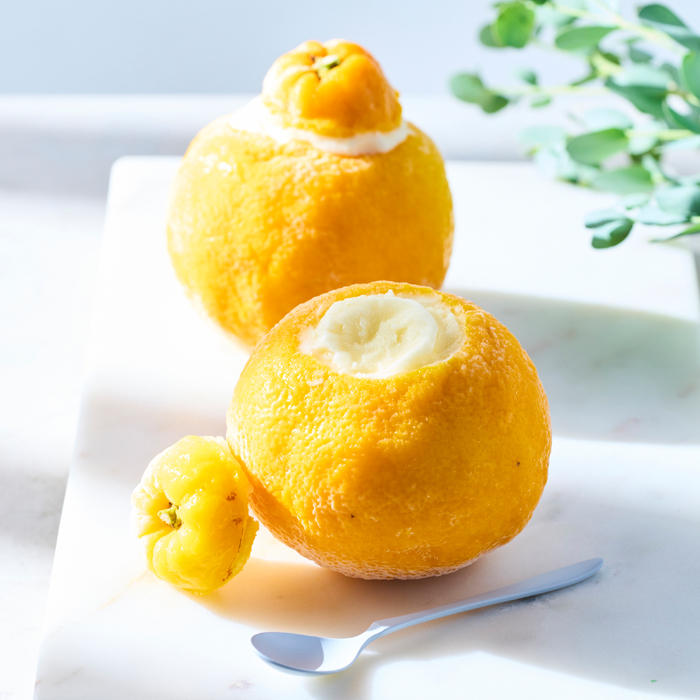 山久農園のまるごと三宝柑シャーベット