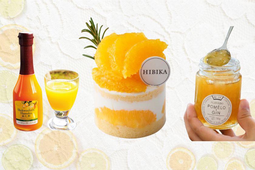 【阪急うめだ本店】季節を味わう暮らし～春柑橘編～