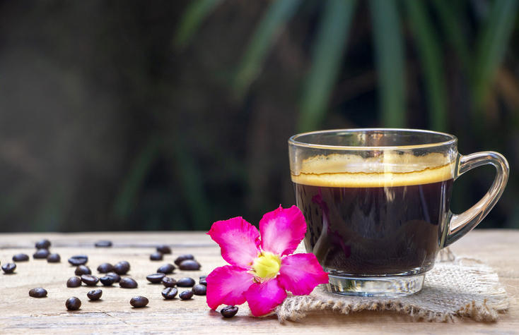 木製のテーブルに置かれたピンクの花、コーヒー入りの耐熱ガラスのカップ