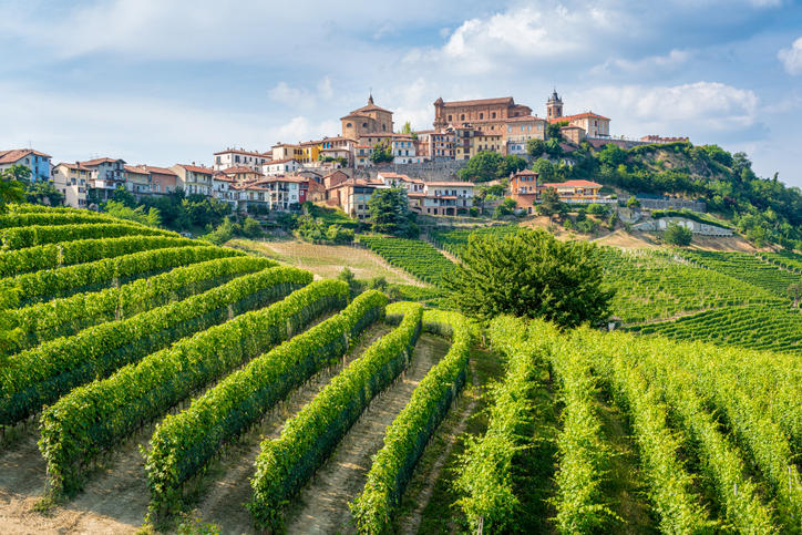 イタリアのピエモンテ州にある美しい村の前に広がるぶどう畑